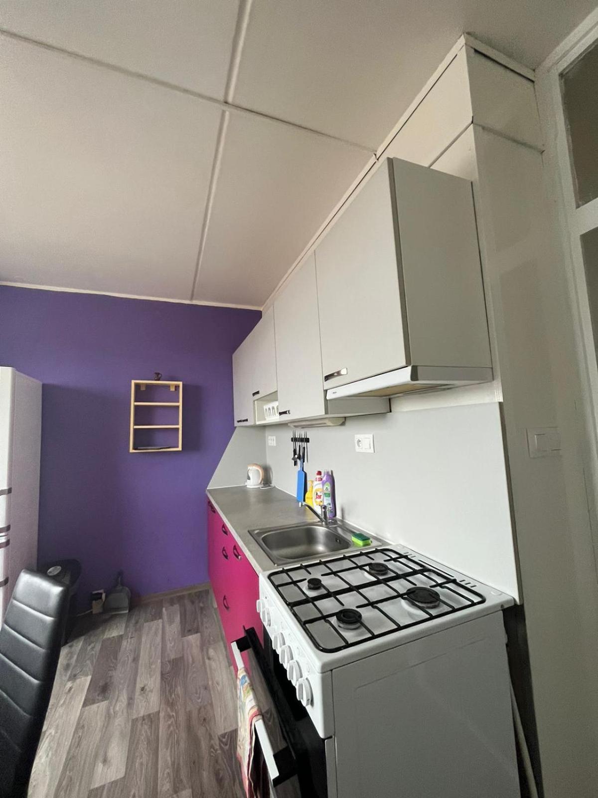 Apartmens Kv カルロヴィ・ヴァリ エクステリア 写真